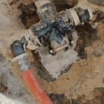 WhatsApp Image 2022-04-04 at 15.52.16