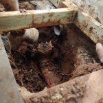 WhatsApp Image 2022-04-04 at 15.52.21