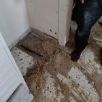 WhatsApp Image 2022-04-04 at 15.52.23